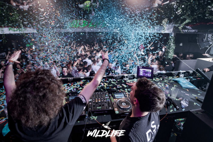 Gallery Picture - WILDLIFE (31.12.2021)