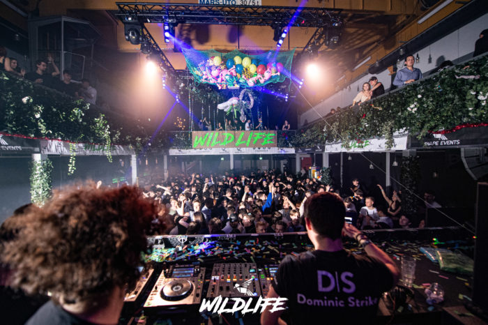 Gallery Picture - WILDLIFE (31.12.2021)